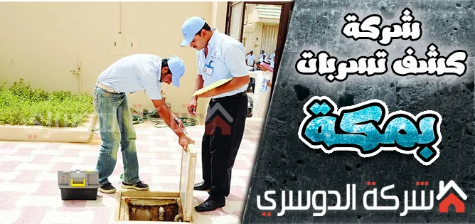 شركة كشف تسربات بمكة 