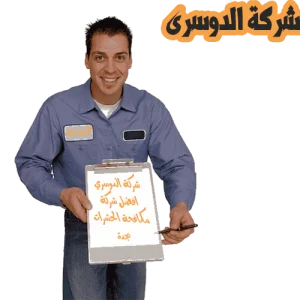 شركة مكافحة الحشرات بجدة 2 شركة مكافحة الحشرات بجدة