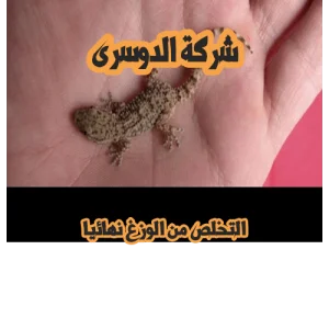 شركة مكافحة الحشرات بجدة 13 شركة مكافحة الحشرات بجدة