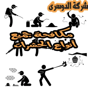 شركة مكافحة الحشرات بجدة 7 شركة مكافحة الحشرات بجدة
