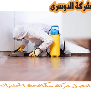 شركة مكافحة الحشرات بجدة 3 شركة مكافحة الحشرات بجدة