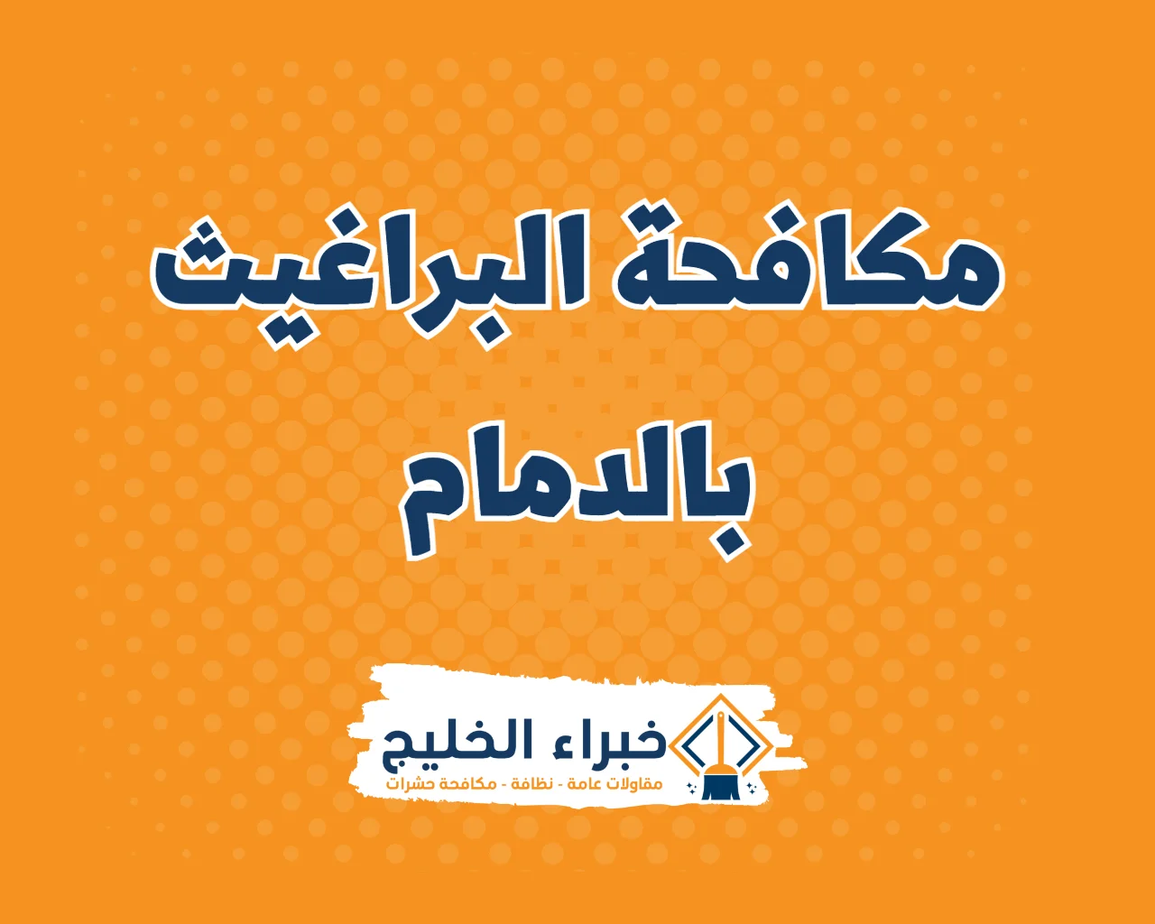 شركة مكافحة البراغيث بالدمام