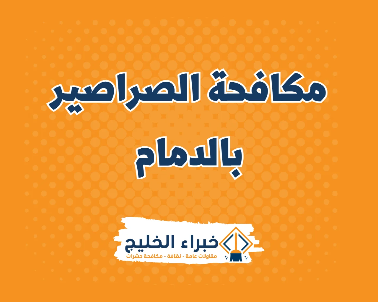شركة مكافحة الصراصير بالدمام 10 شركة مكافحة الصراصير بالدمام