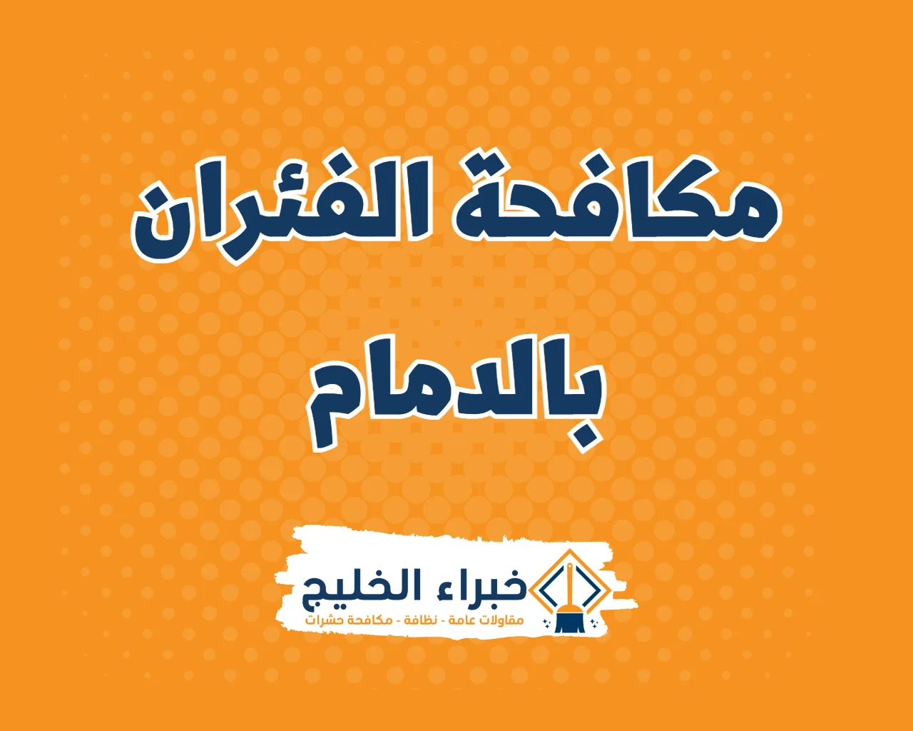 شركة مكافحة الفئران بالدمام