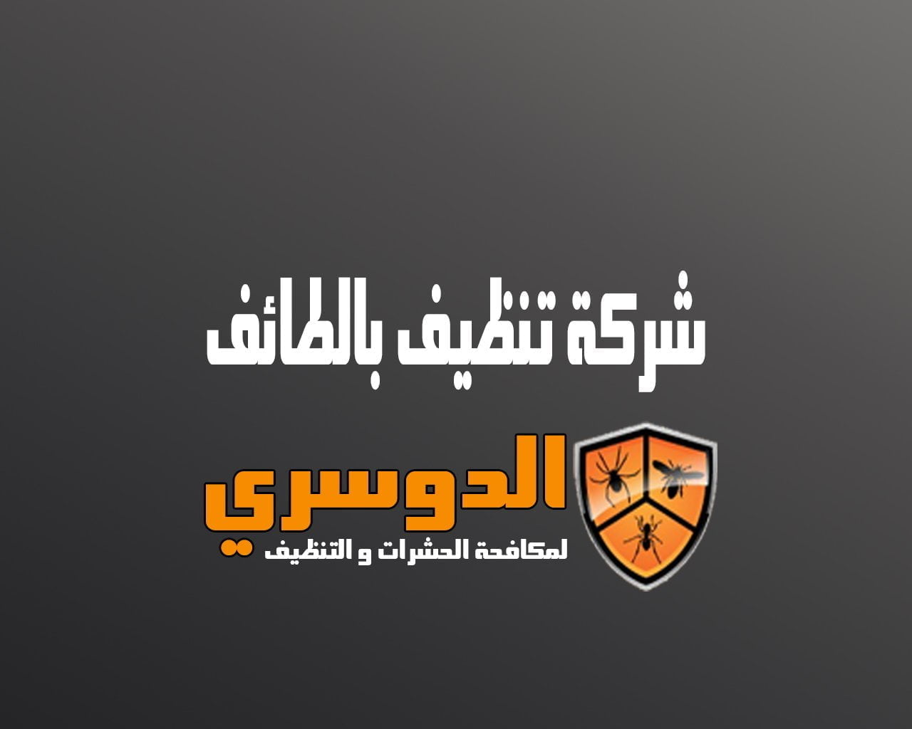 شركة تنظيف بالطائف 3 شركة تنظيف بالطائف