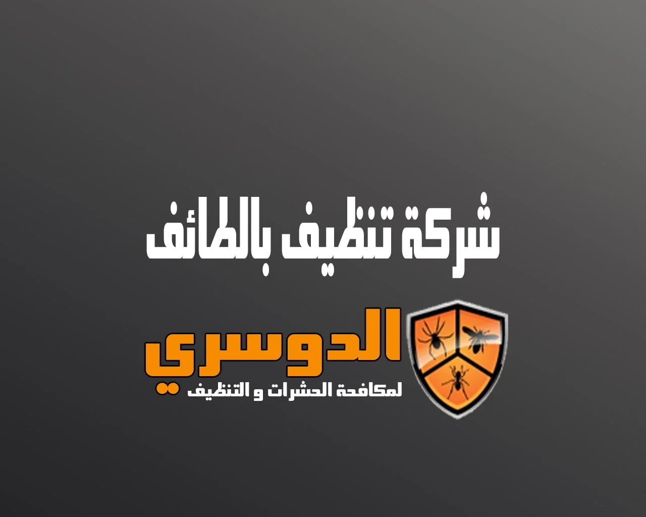 شركة تنظيف بالطائف