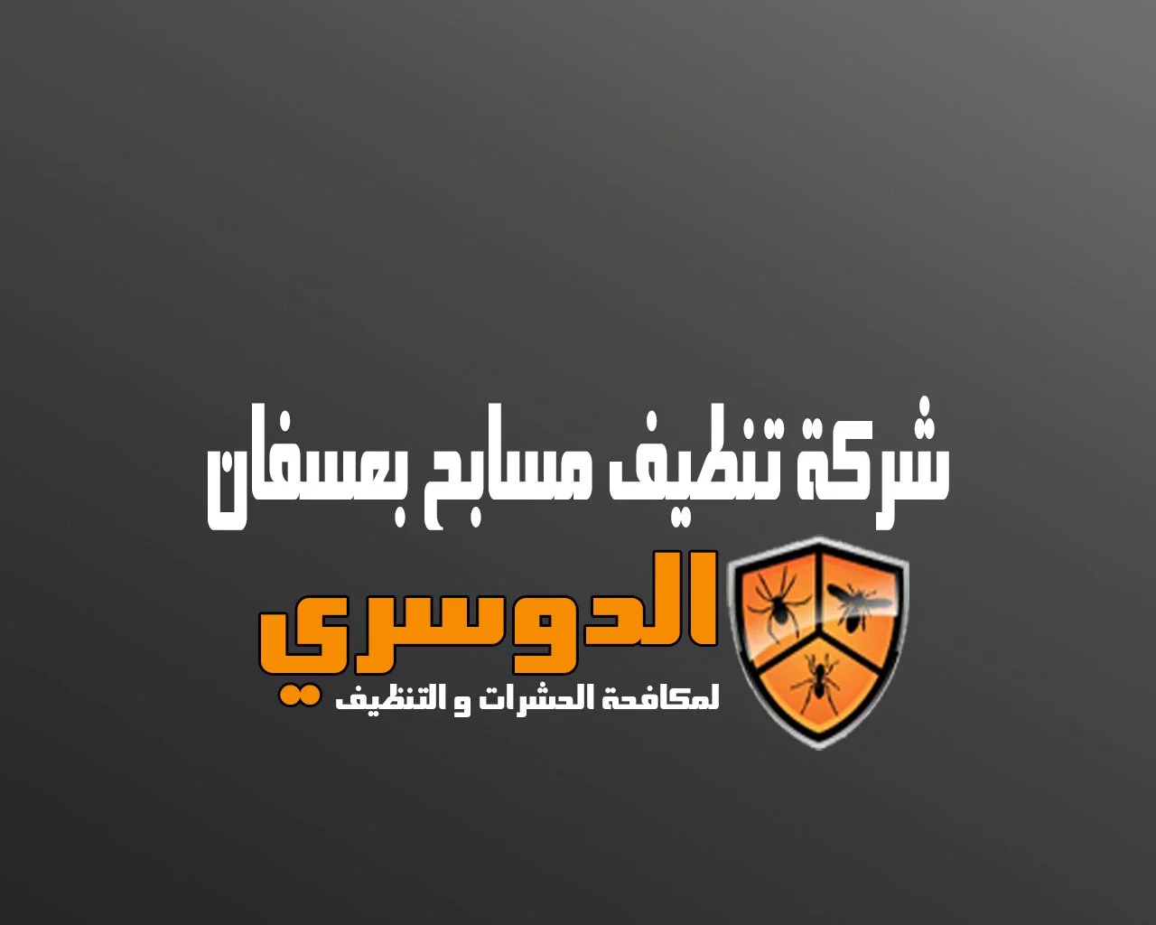 شركة تنظيف مسابح بعسفان