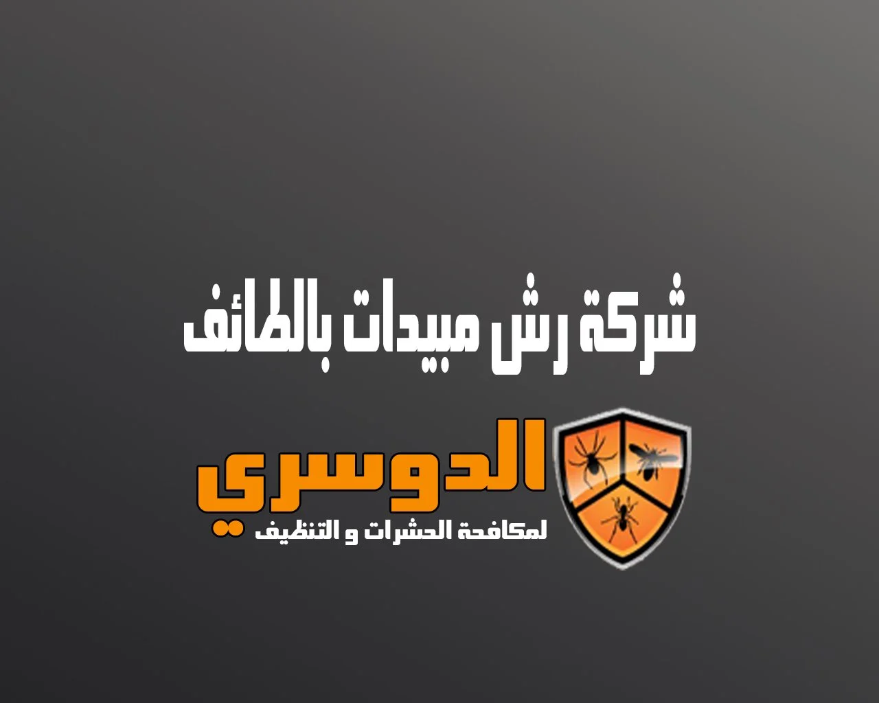 شركة رش مبيدات بالطائف