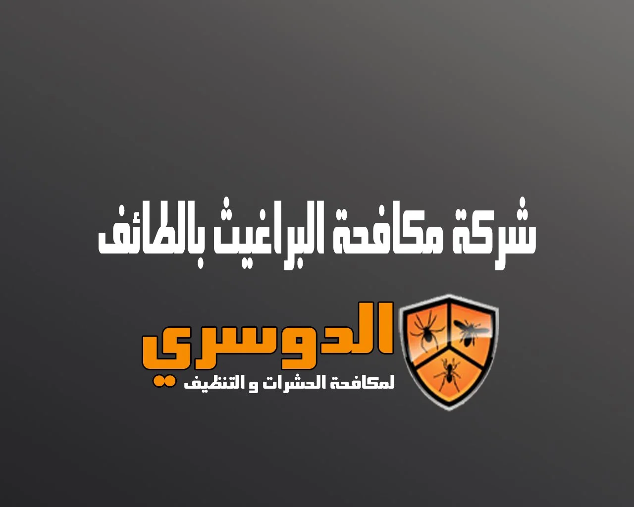 شركة مكافحة البراغيث بالطائف