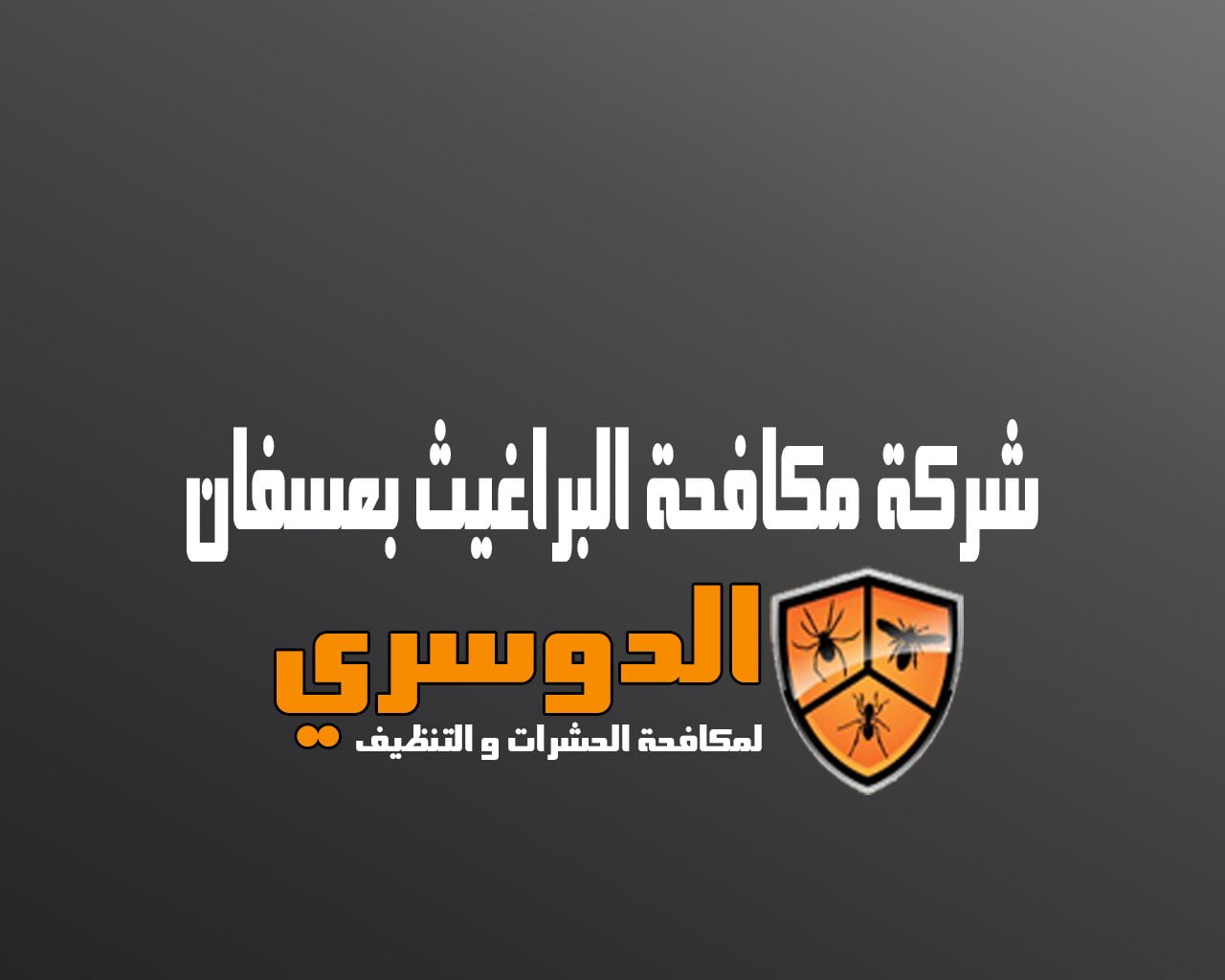 شركة مكافحة البراغيث بعسفان 14 شركة مكافحة البراغيث بعسفان