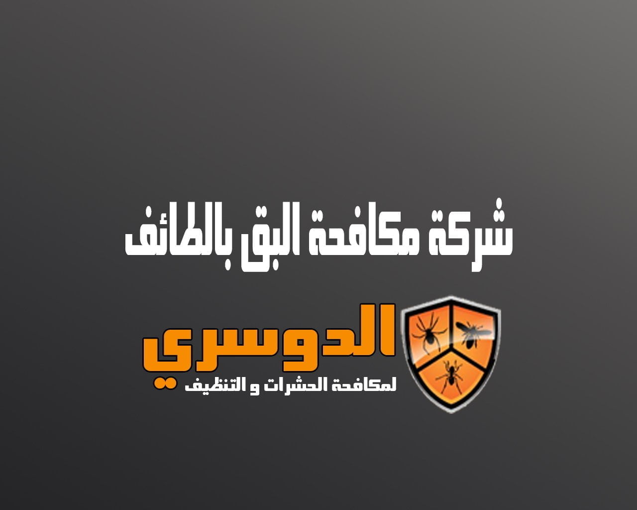شركة مكافحة البق بالطائف 6 شركة مكافحة البق بالطائف