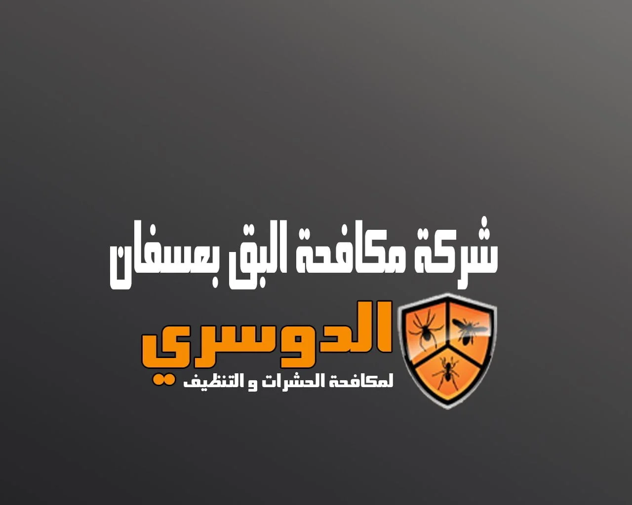 شركة مكافحة البق بعسفان
