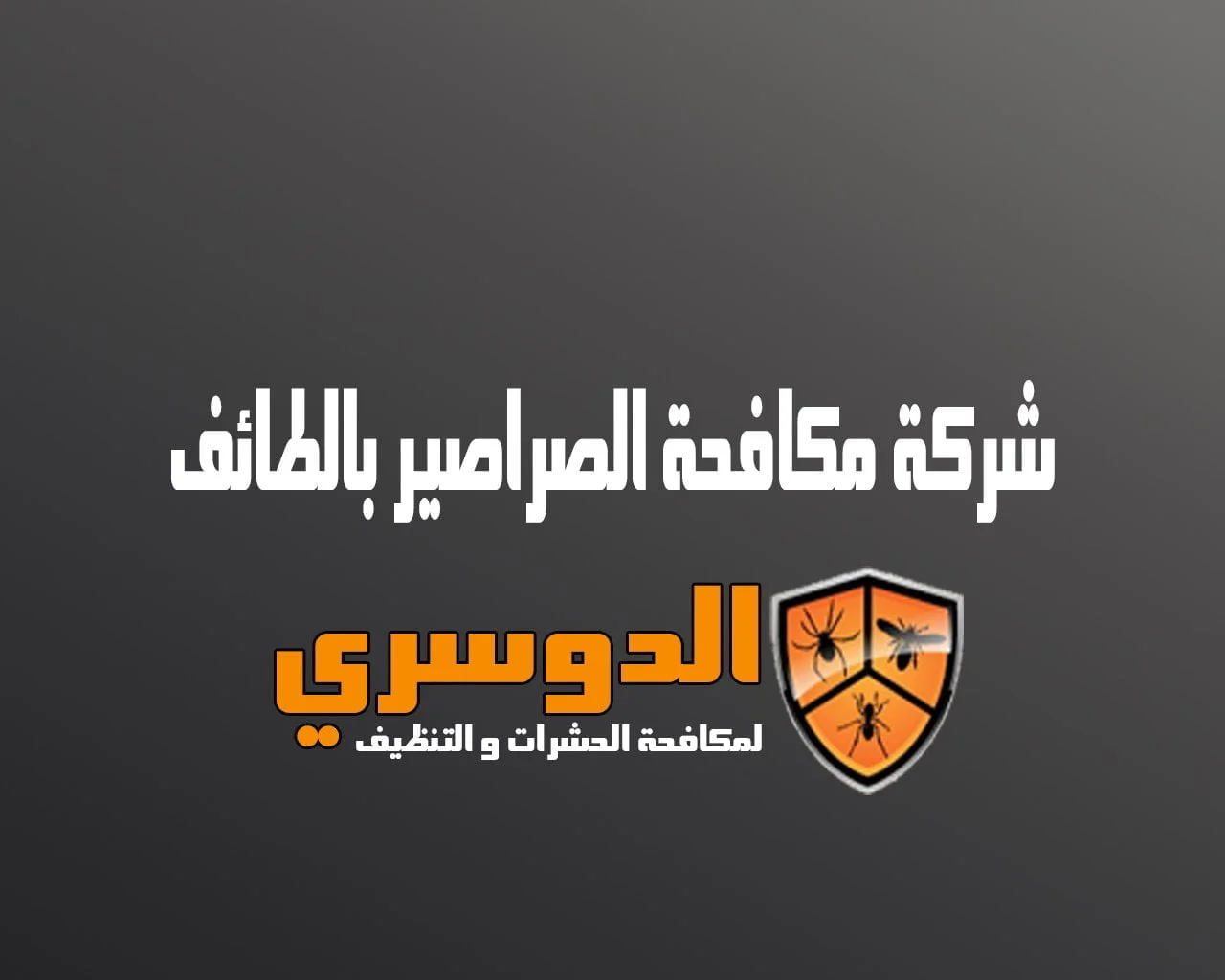 شركة مكافحة الصراصير بالطائف