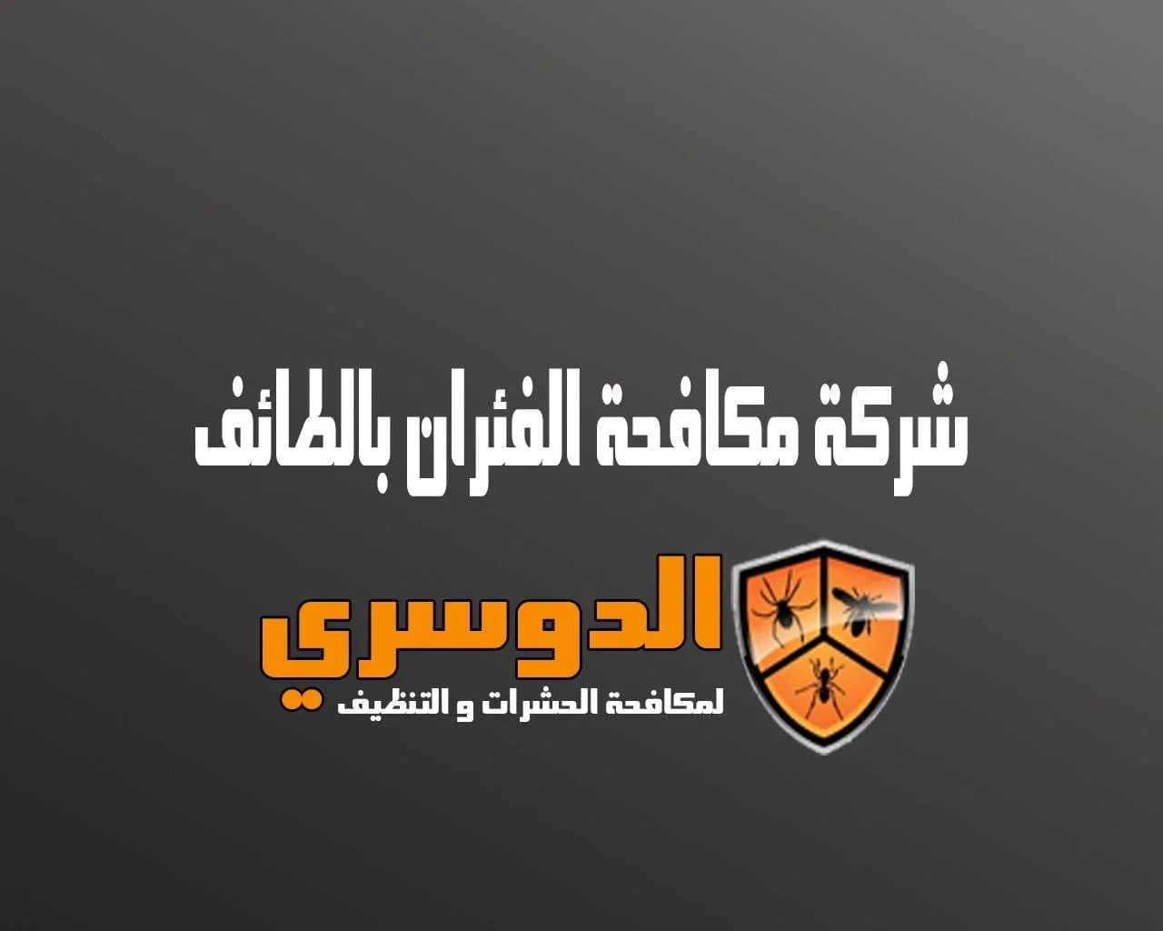 شركة مكافحة الفئران بالطائف
