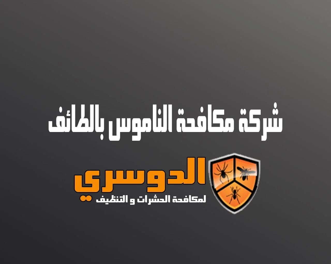 شركة مكافحة الناموس بالطائف