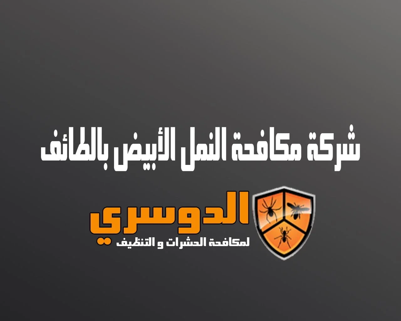 شركة مكافحة النمل الابيض بالطائف
