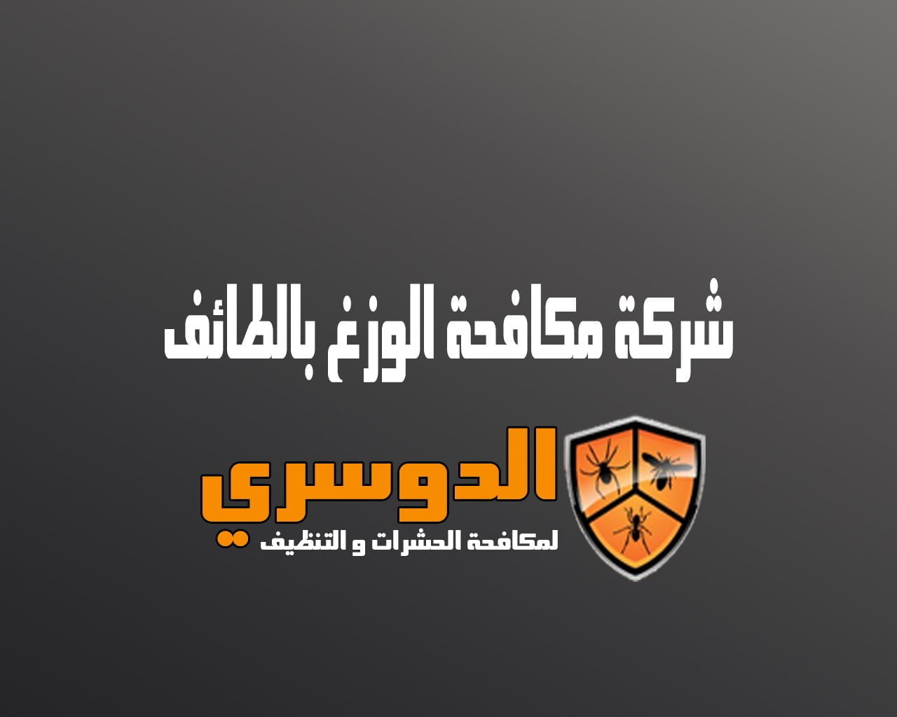 شركة مكافحة الوزغ بالطائف