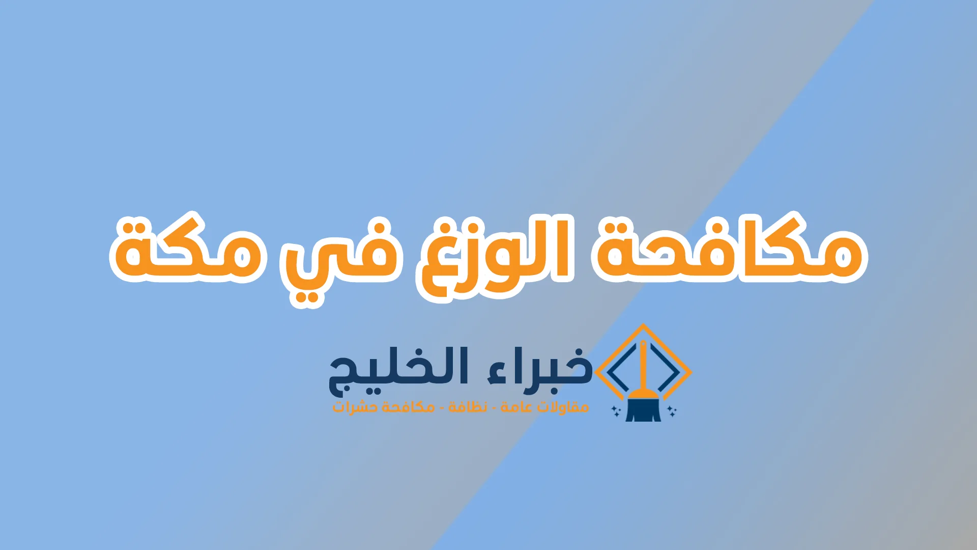 شركة مكافحة الوزغ بمكة