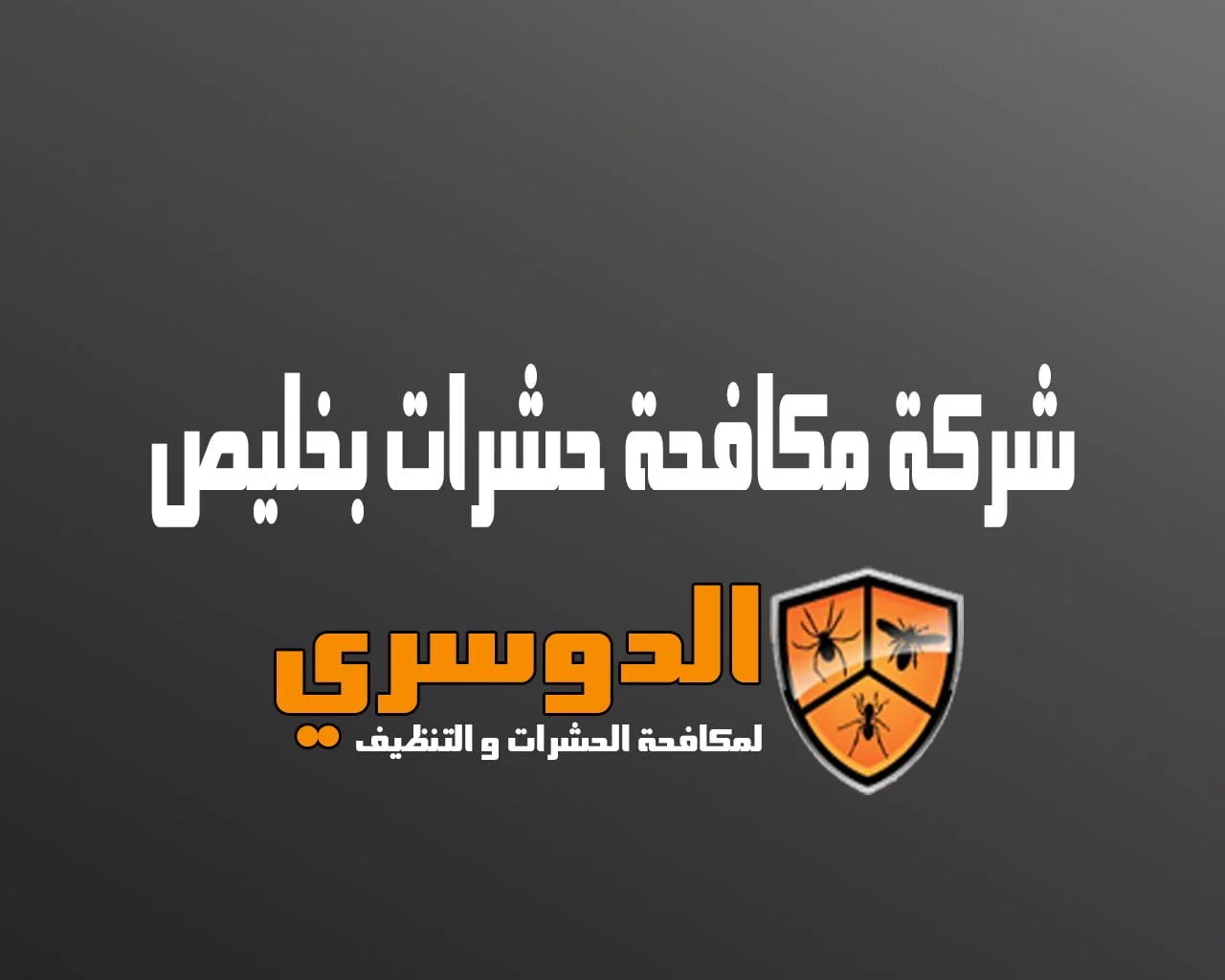 شركة مكافحة حشرات بخليص