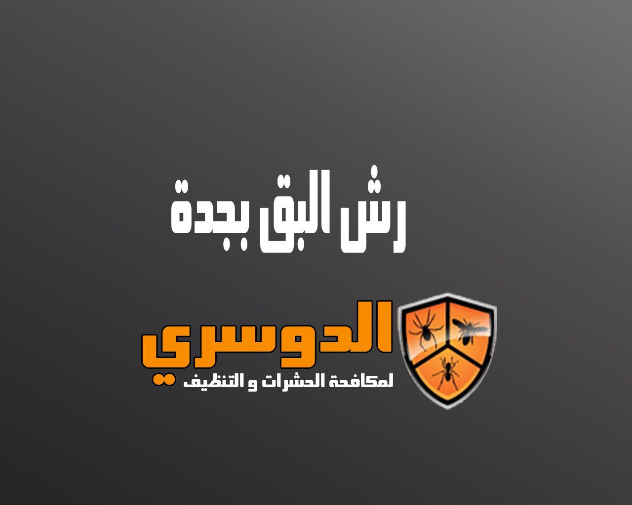 رش البق بجدة 6 رش البق بجدة