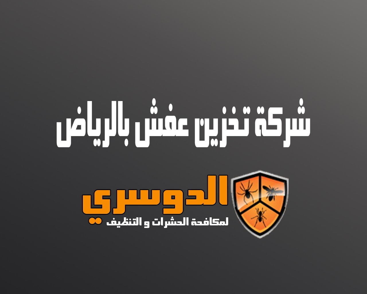 شركة تخزين عفش بالرياض