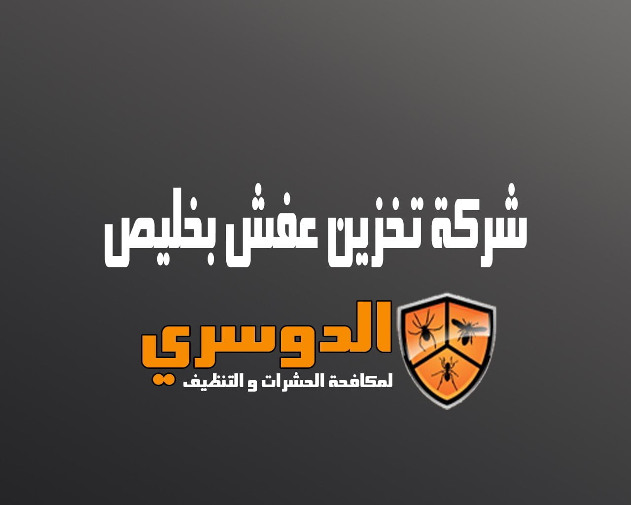 شركة تخزين عفش بخليص 6 شركة تخزين عفش بخليص