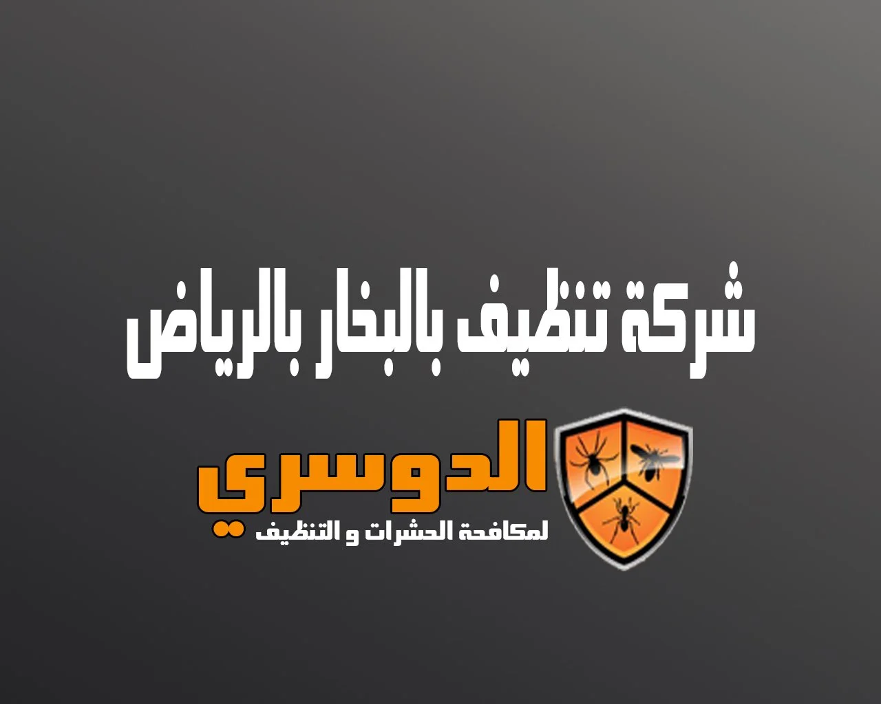 شركة تنظيف بالبخار بالرياض 15 شركة تنظيف بالبخار بالرياض