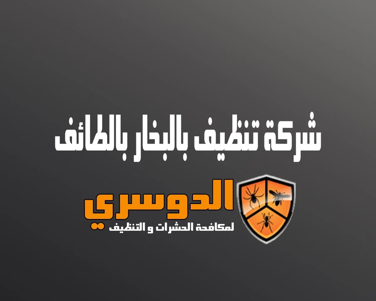شركة تنظيف بالبخار بالطائف 8 شركة تنظيف بالبخار بالطائف