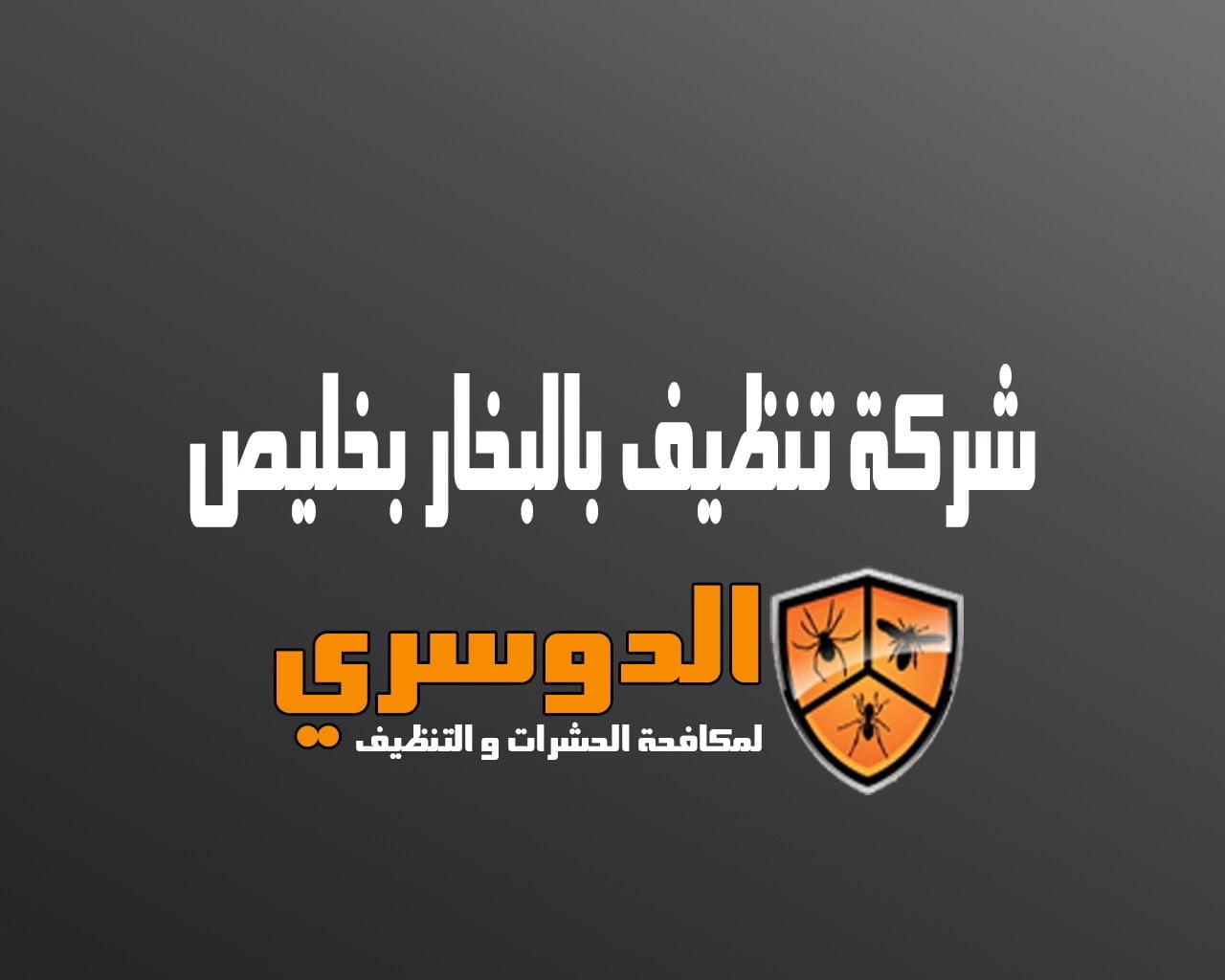 شركة تنظيف بالبخار بخليص