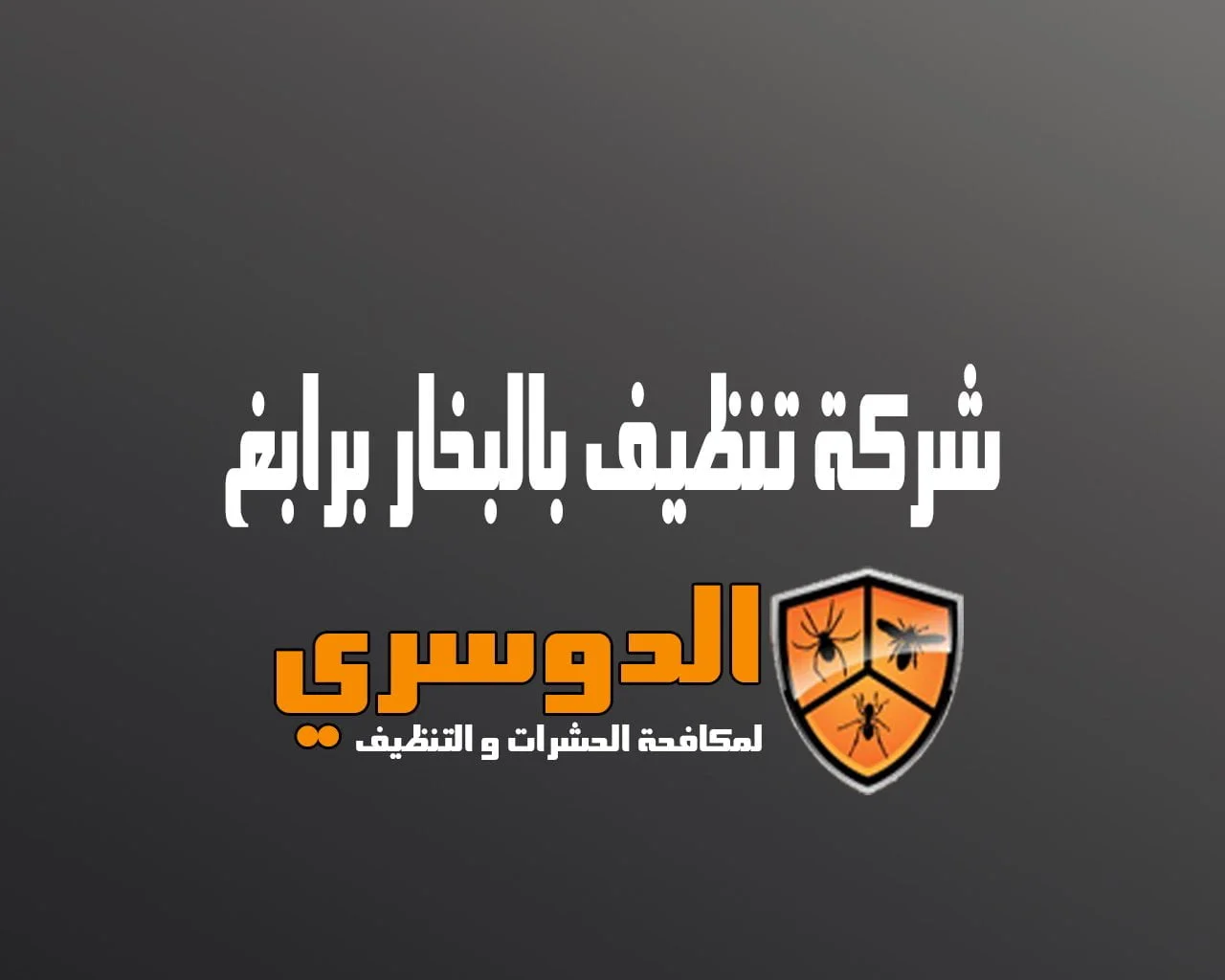 شركة تنظيف بالبخار برابغ 5 شركة تنظيف بالبخار برابغ