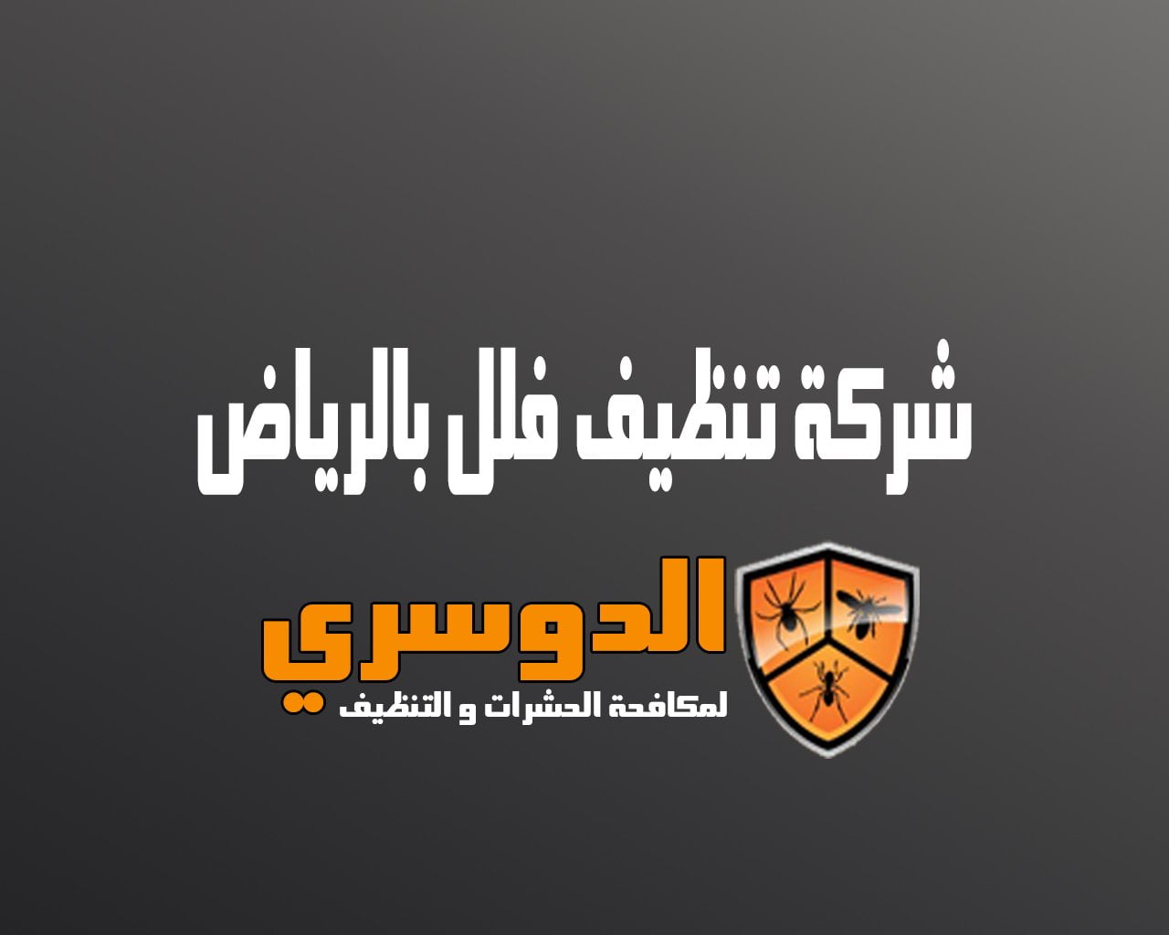 شركة تنظيف فلل بالرياض