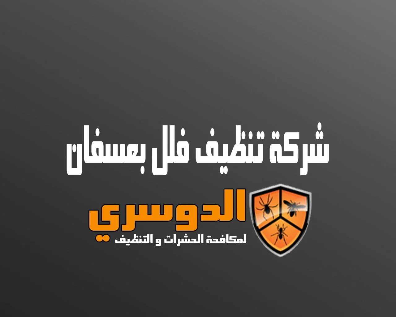 شركة تنظيف فلل بعسفان 16 شركة تنظيف فلل بعسفان