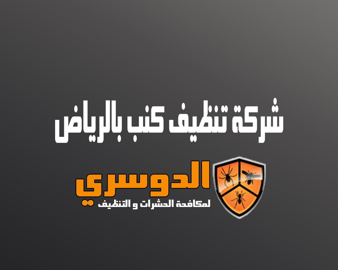 شركة تنظيف كنب بالرياض