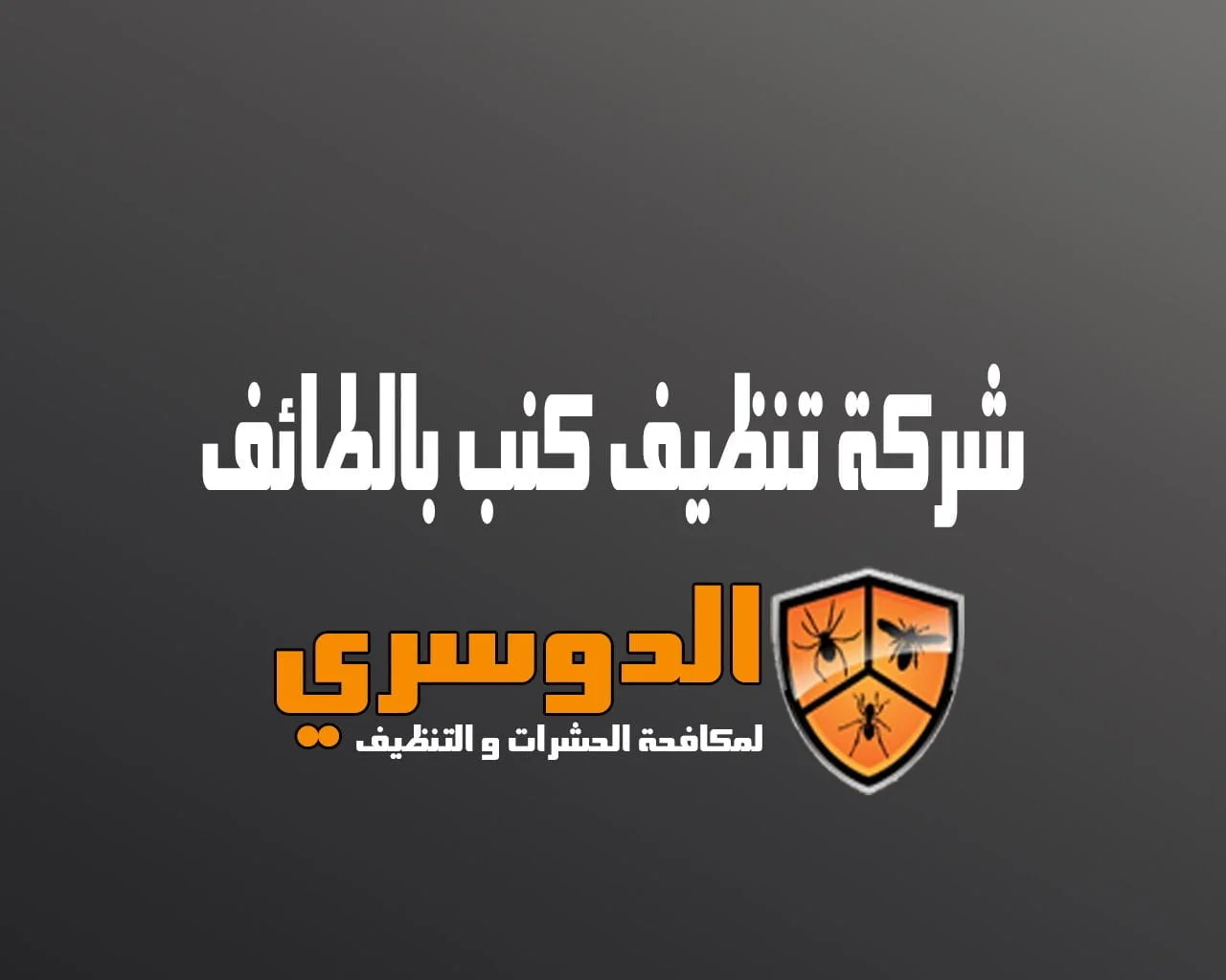 شركة تنظيف كنب بالطائف 6 شركة تنظيف كنب بالطائف