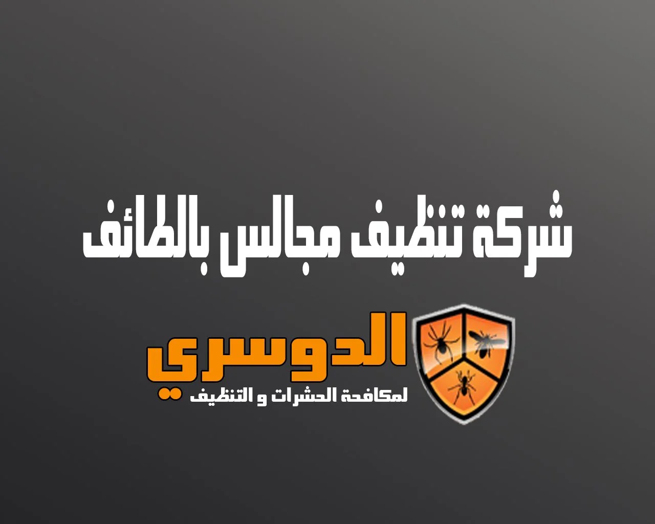 شركة تنظيف مجالس بالطائف 7 شركة تنظيف مجالس بالطائف