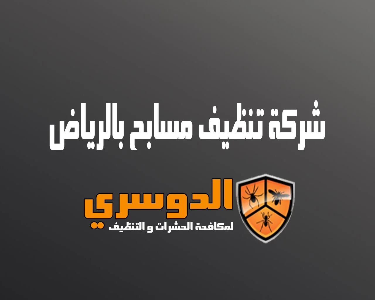 شركة تنظيف مسابح بالرياض