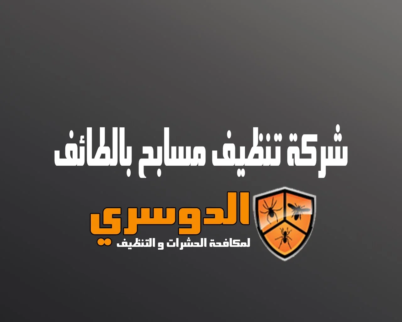 شركة تنظيف مسابح بالطائف