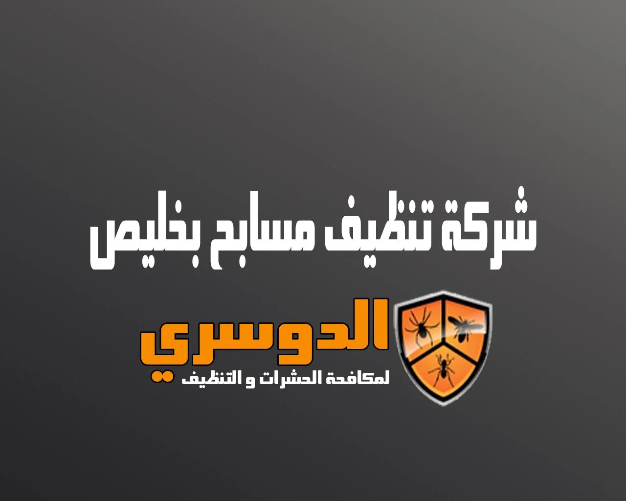 شركة تنظيف مسابح بخليص 4 شركة تنظيف مسابح بخليص
