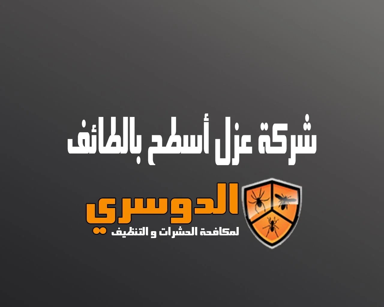 شركة عزل اسطح بالطائف
