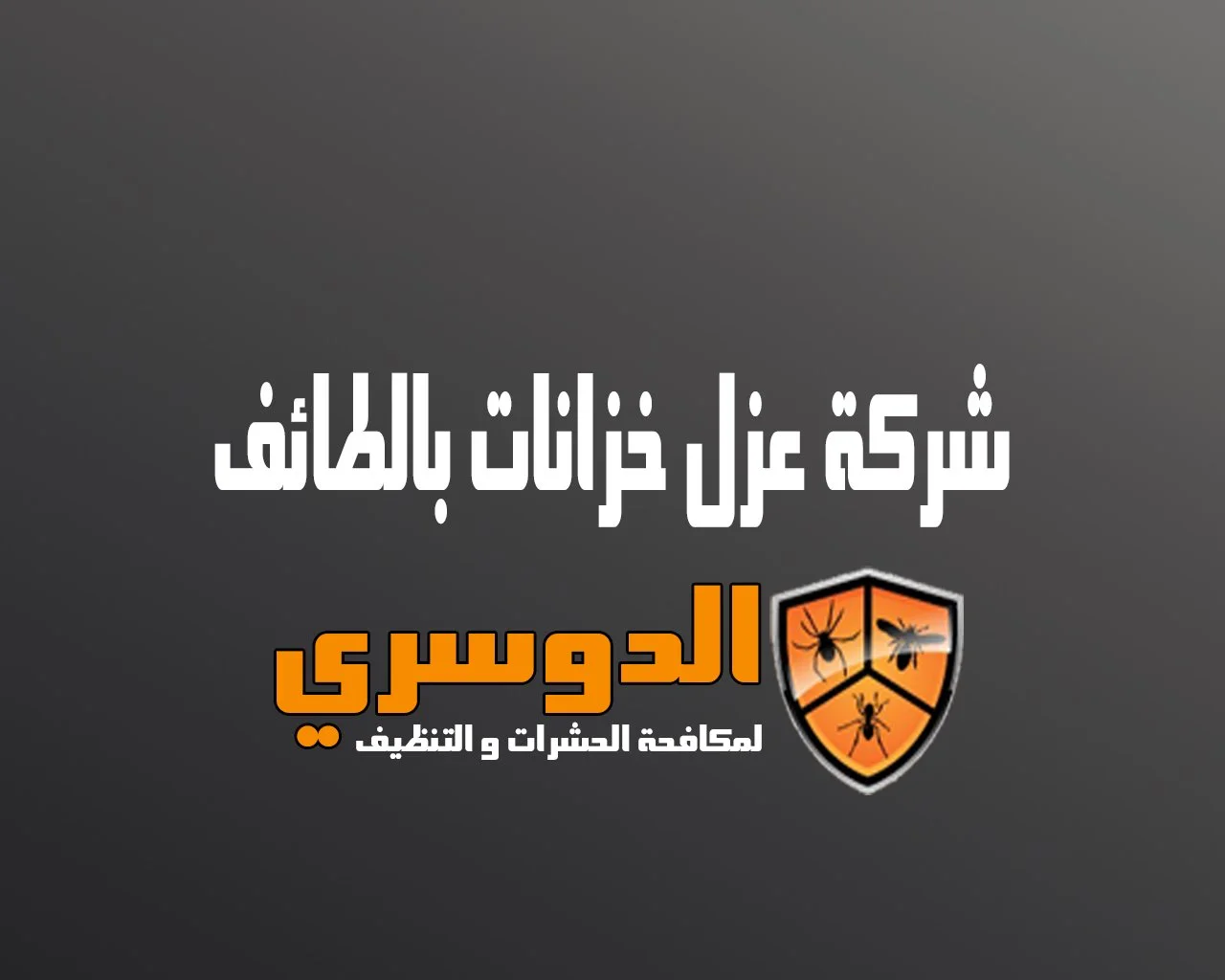 شركة عزل خزانات بالطائف