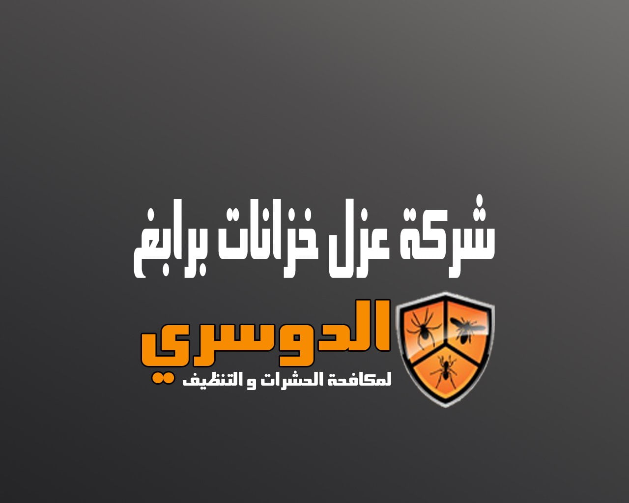 شركة عزل خزانات برابغ