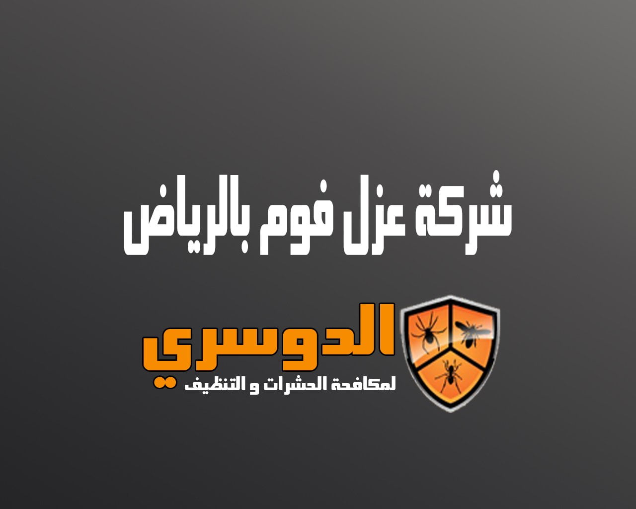 شركة عزل فوم بالرياض