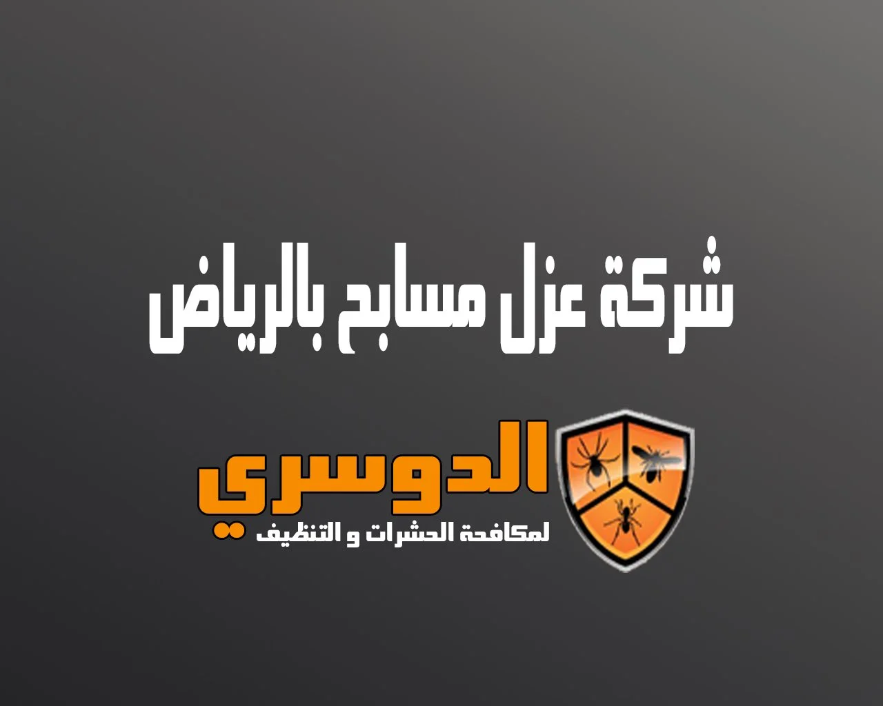 شركة عزل مسابح بالرياض