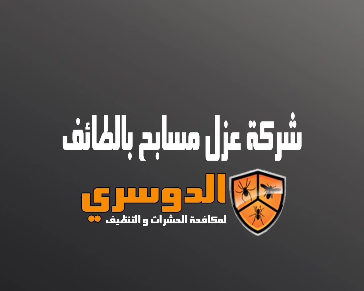 شركة عزل مسابح بالطائف