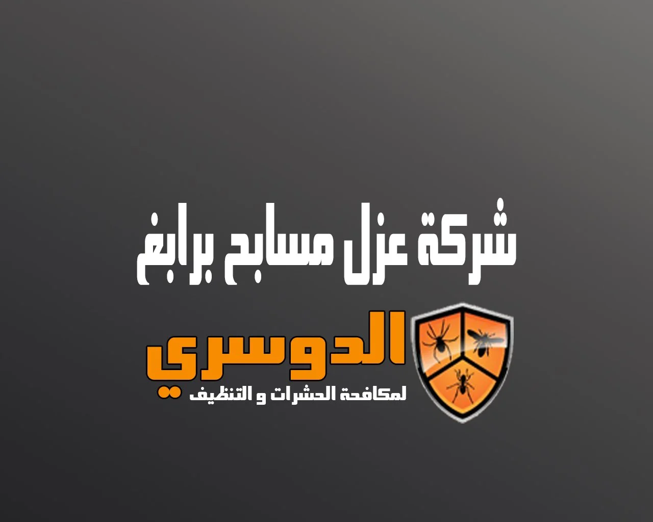 شركة عزل مسابح برابغ