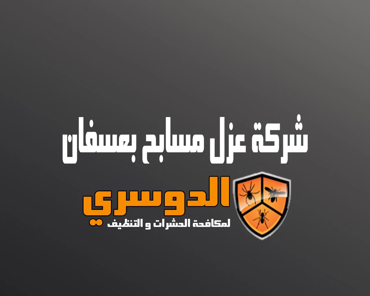 شركة عزل مسابح بعسفان