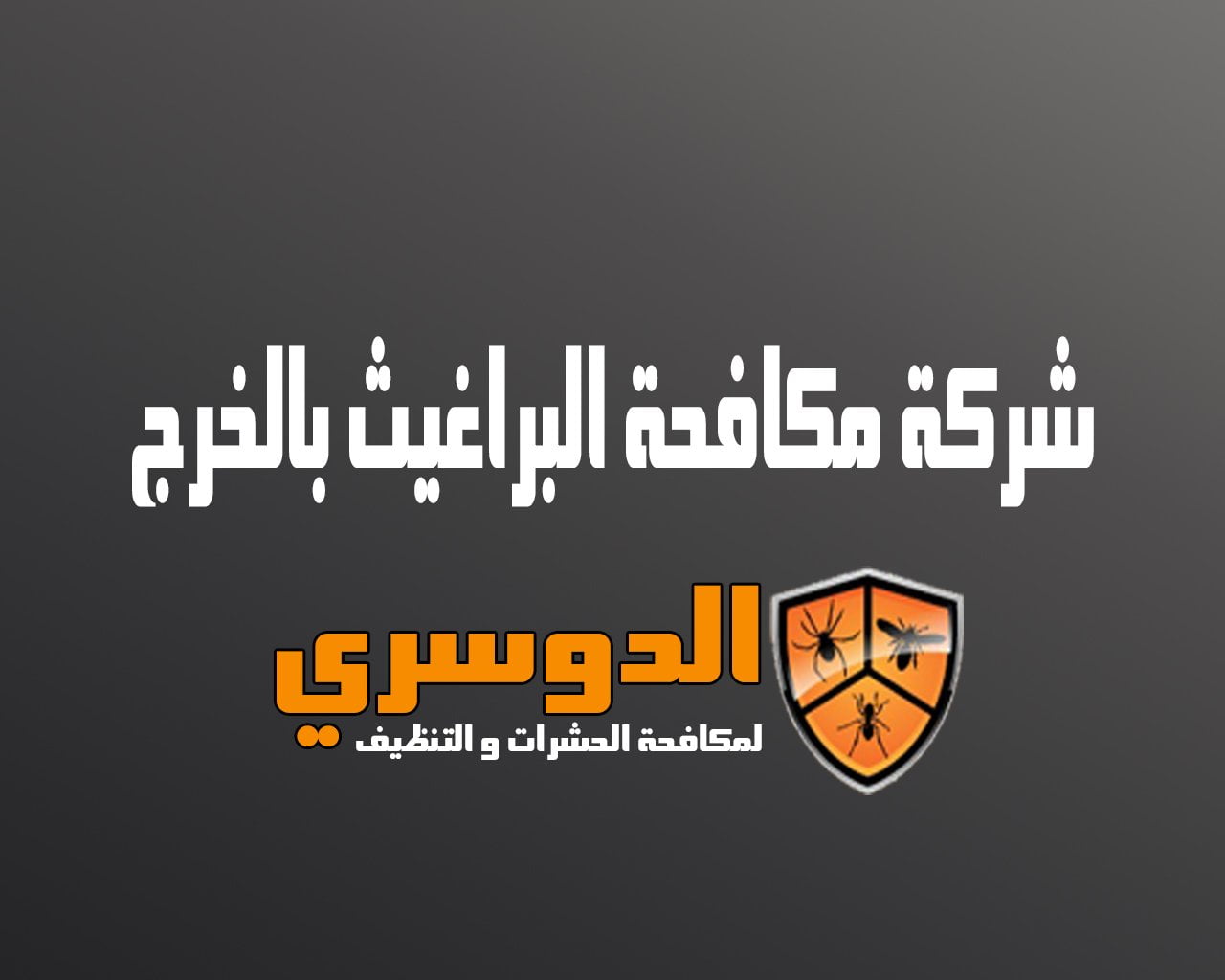 شركة مكافحة البراغيث بالخرج 10 شركة مكافحة البراغيث بالخرج