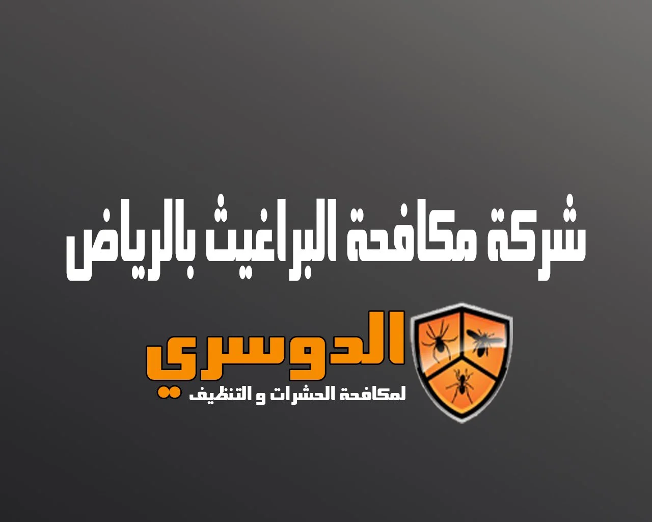 شركة مكافحة البراغيث بالرياض