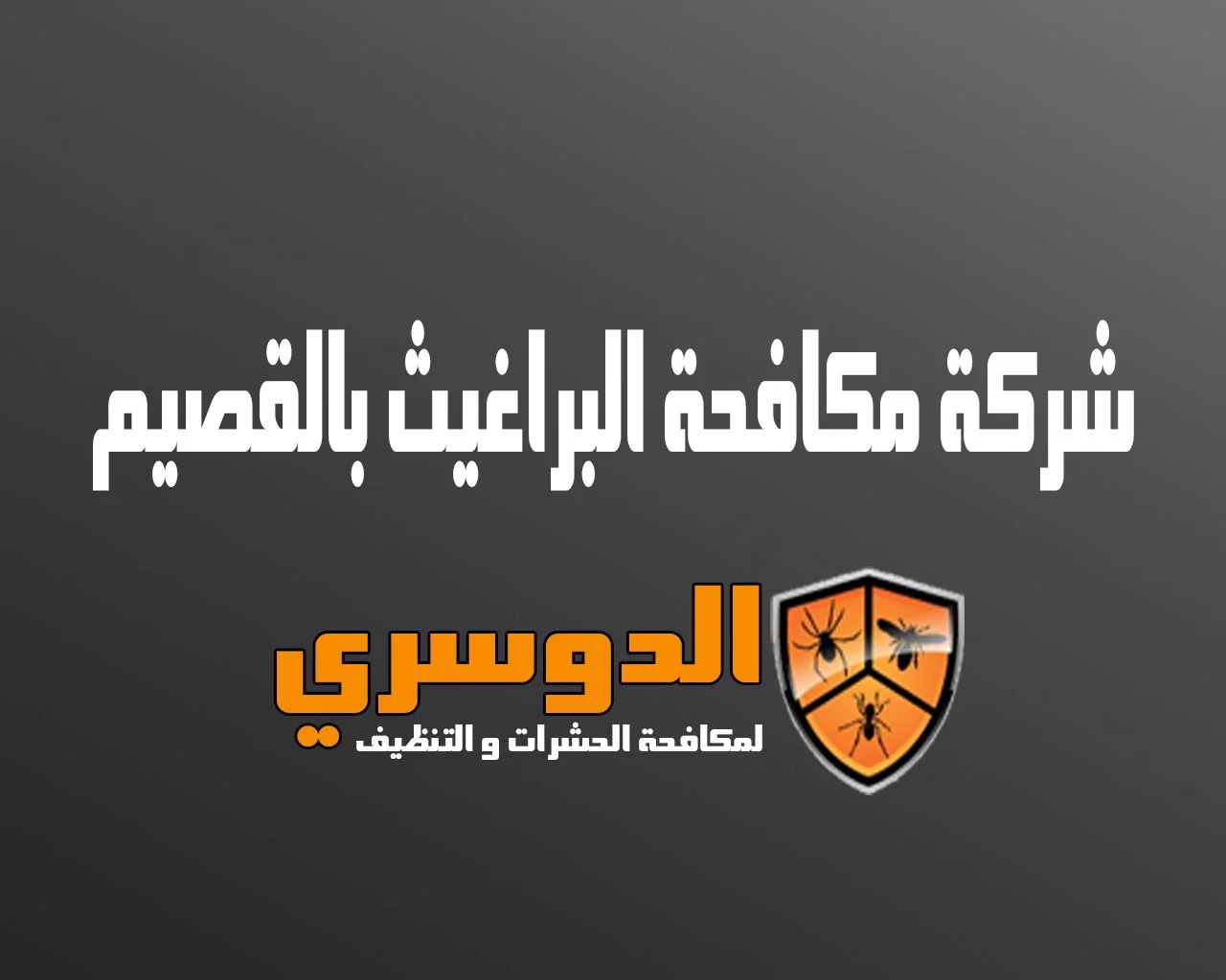 شركة مكافحة البراغيث بالقصيم 6 شركة مكافحة البراغيث بالقصيم