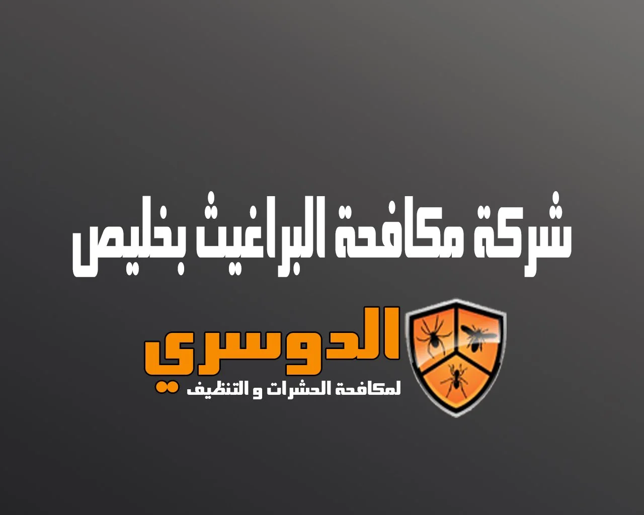 شركة مكافحة البراغيث بخليص